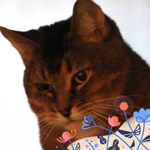 Meet your Posher, Janice